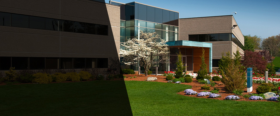 Goldsboro Landscapers