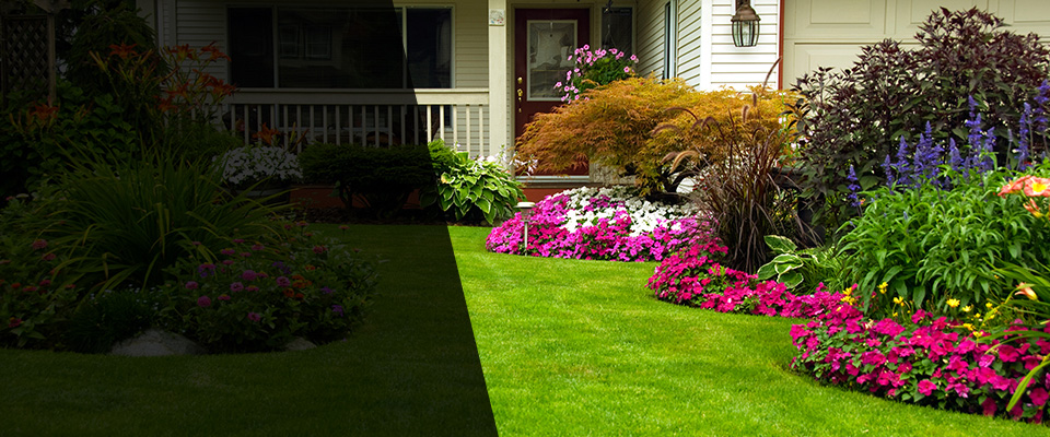 Goldsboro Landscapers