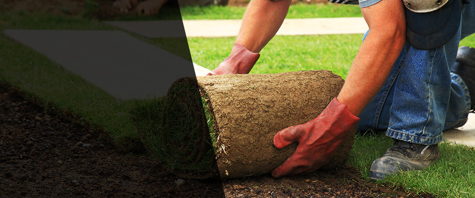 Goldsboro Landscapers